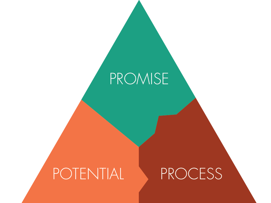 The Principle of Process…that leads to your Promise