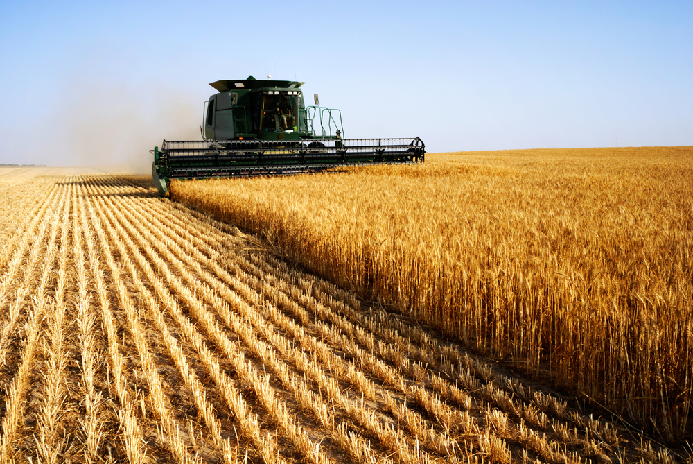 Great Harvest