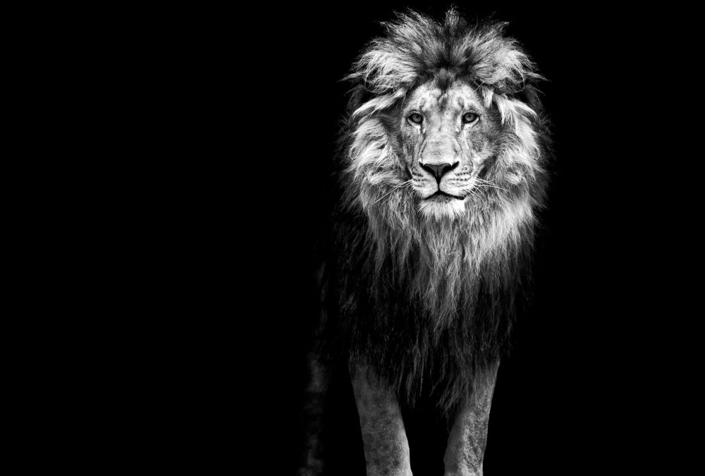 The Art of Self Leadership