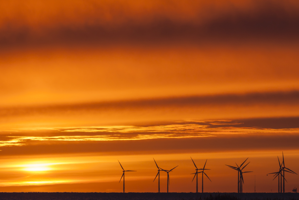 Energy Producers and Winning at Life