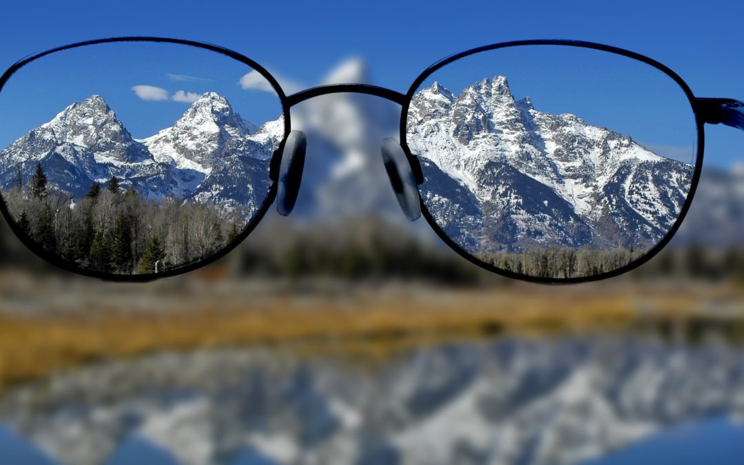 Vision Drives Passion